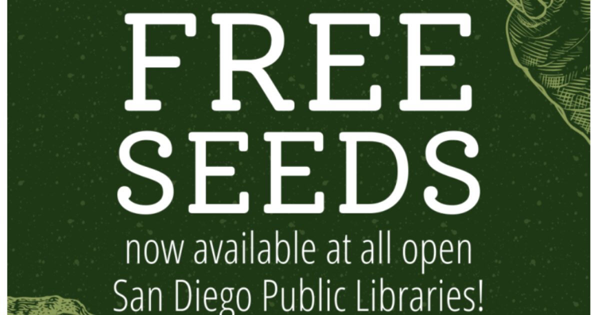Libraries provide free seeds Library Foundation SD