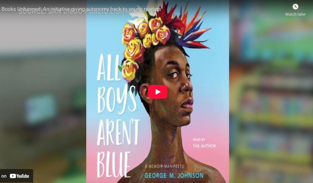 Screenshot of Books Unbanned KPBS article by Audy McAfee