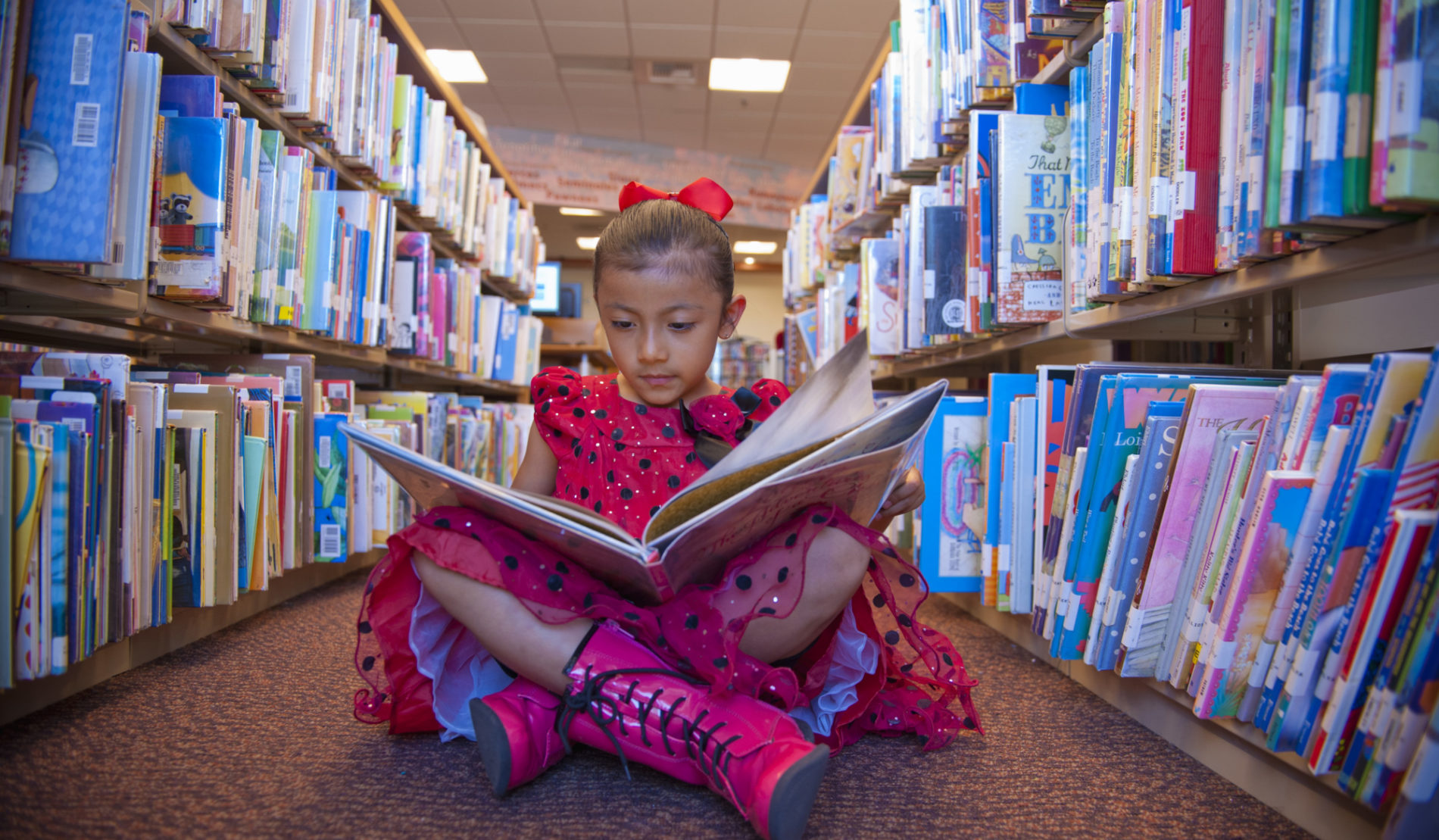 Opportunity | Library Foundation SD