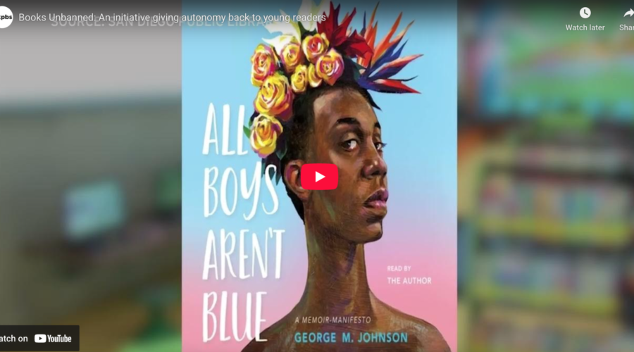 Screenshot of Books Unbanned KPBS article by Audy McAfee
